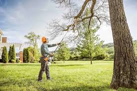 Best Tree Cabling and Bracing  in East Gaffney, SC